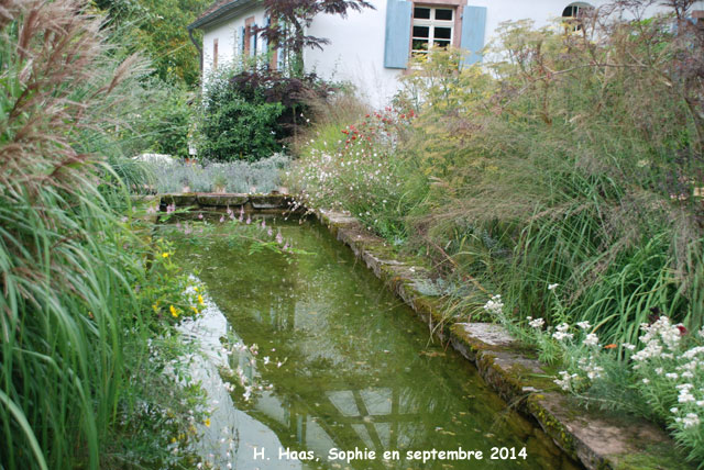 Herrenmühle:bassin